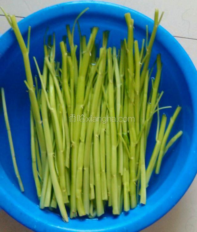 把空心菜的叶子摘除（叶子可以做其他的），洗干净切寸段。