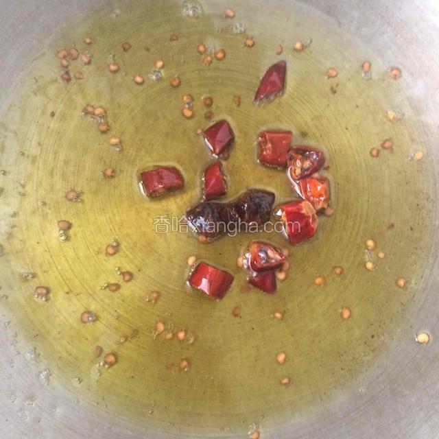 捞出花椒粒，关火，放入干辣椒圈。