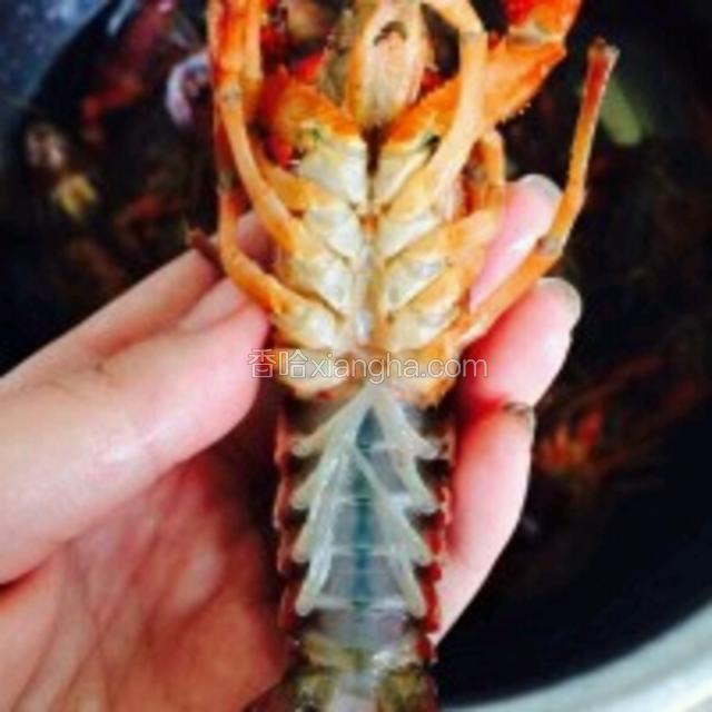 将小龙虾用刷子整体刷洗干净
