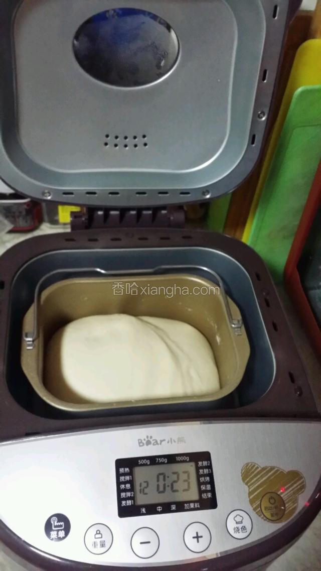 牛奶，盐，油，面粉，酵母按顺序放进面包机里按发酵面团功能。等到面团发酵两倍大取出！这个量，我做了两个12寸，一个9寸的，面皮都比较薄。