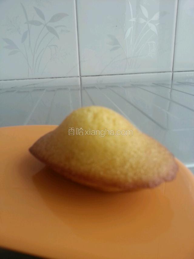 侧面照，看这小肚子，鼓鼓的
