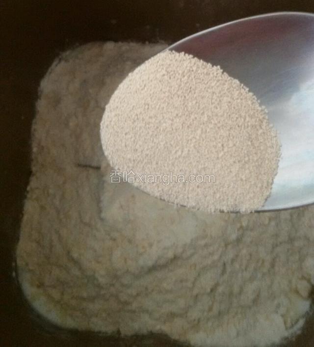 以上四步依次放入后在面粉中挖出小坑放酵母粉
