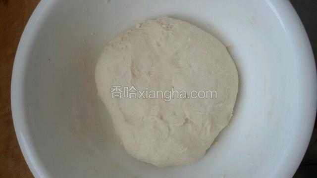 普通面粉用温中和好醒半小时。