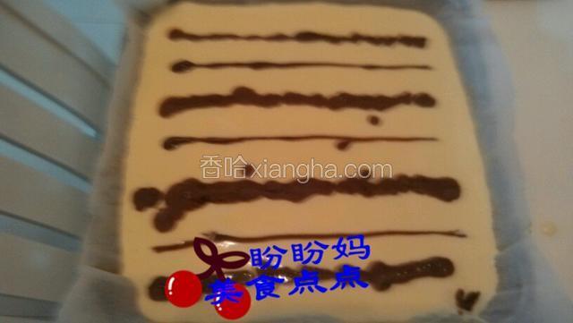 将可可粉装入裱花袋横向挤到烤盘面糊的表面上