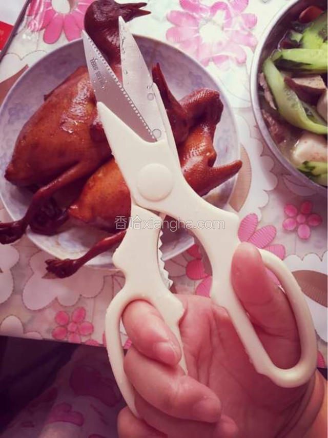 凉了，备厨剪。
超轻易的我就把乳鸽剪了下来。剪骨就是那么的轻易哟。我是在朋友家里用了厨剪之后就爱上它了。


家里没厨剪也没关系啦，就切吧。