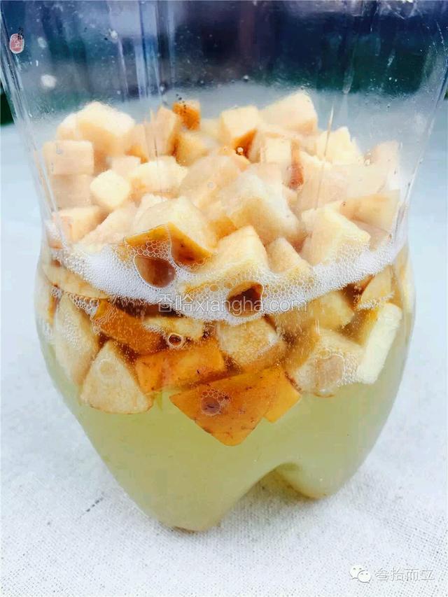 二、 制作流程：
1. 苹果酵母液的制作：苹果去核切丁，然后和砂糖、蜂蜜、水一起放入消毒干净的密封罐内，静置于26~28℃的环境下，每天放气，摇拌1~2次，5至7天后待苹果丁浮起且有泡沫即为发酵完成。