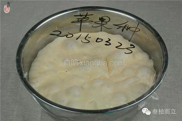 2. 将过滤好的苹果酵母液称量，与法国面粉搅拌均匀，静置发酵至种面体积明显变大，且变面有很多大气泡即为发酵完成。