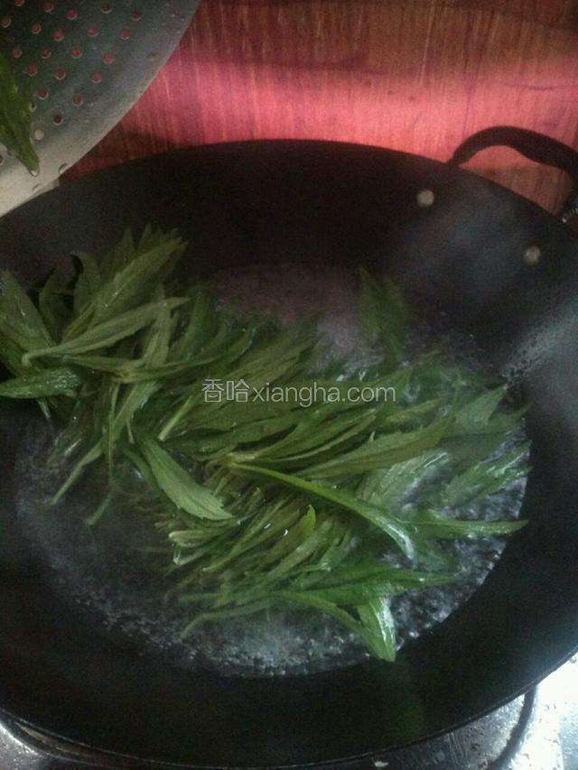 水开放蒲公英焯过苦味