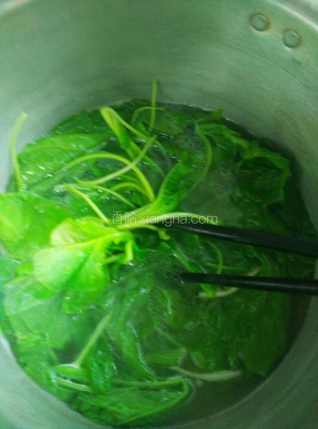 烫蔬菜，注:蔬菜可以选自己喜欢的（黄瓜丝，绿豆芽，生菜……）我这里用了苋菜。