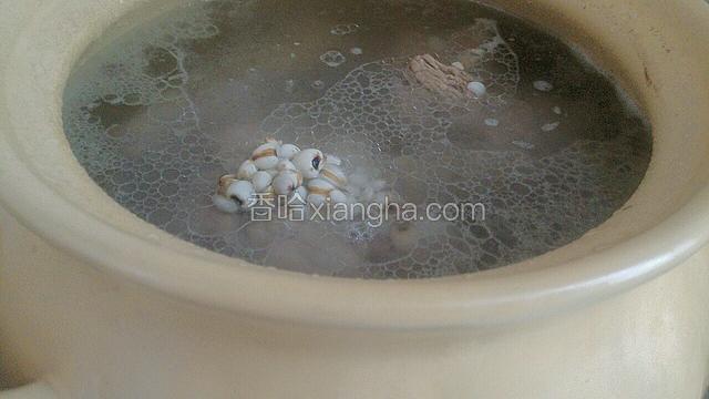 加入泡好的薏米