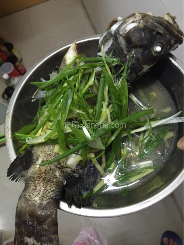把葱花铺在蒸好的鱼上面。



然后把花生油烧红，淋在鱼上去。再拿酱油倒上去就可以了。