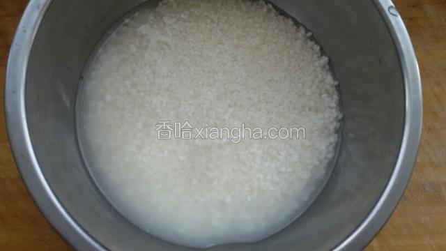 圆粒糯米提前泡上4一8小时，隔水蒸20分钟，水和圆粒糯米平就行。
