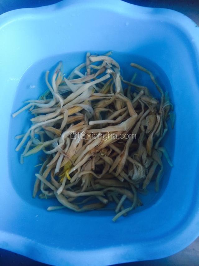 干黄花菜泡开 我泡了一下午
