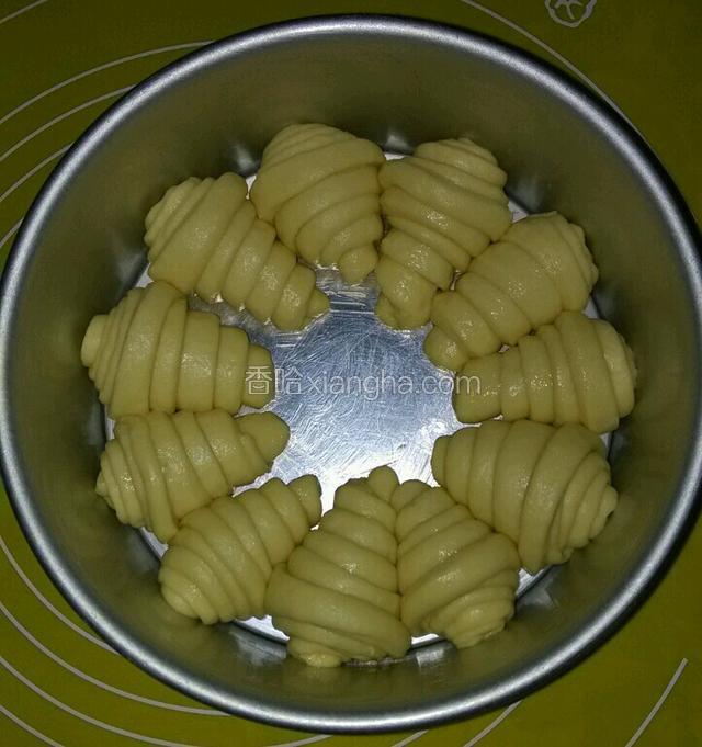 每一个从大的一边卷起，卷好了在硅胶垫上面墩一墩，使其变成圆锥形，(这一步弄得满手都是油腻腻，拍照就忽略了哈，我这么说如果还有不明白的，再跟我留言哦)卷好将其如图摆放在模具中，盖上保鲜膜发至2倍大