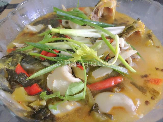 酸菜煮黄骨鱼