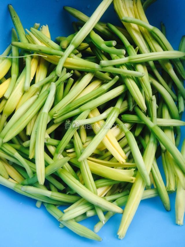 黄花菜摘干净 洗下