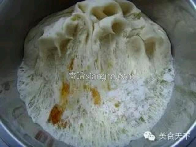 3、发好的面团中加香油、白糖继续揉搓。

