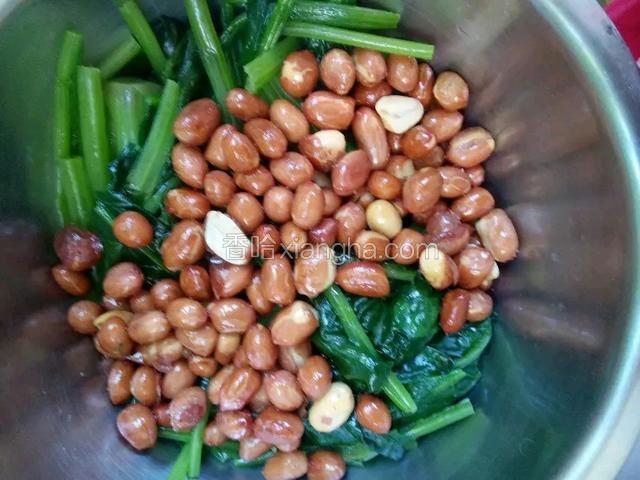 将花椒倒入油锅里炸熟，把花椒捞出留油备用，将菠菜，老醋花生拌匀，