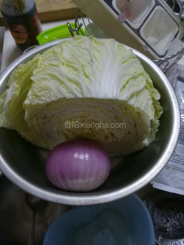 白菜，洋葱，剁碎