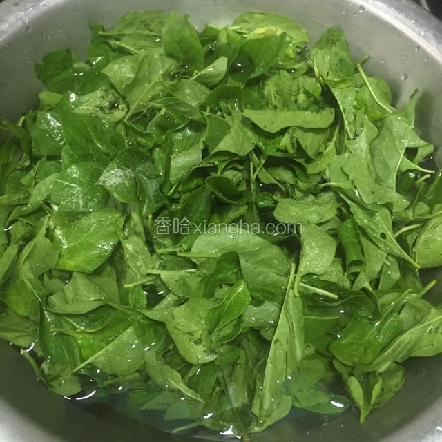 枸杞叶一把