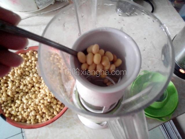 把蒸熟黄豆放入搅拌机里