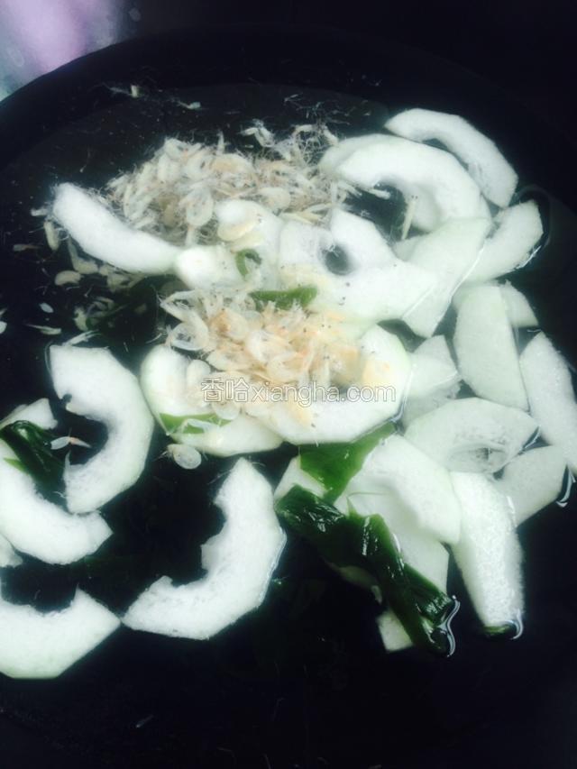 锅里放水 放入裙带 冬瓜 虾皮