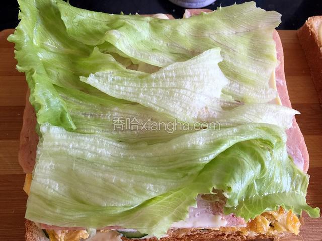铺生菜，上面再抹沙拉酱