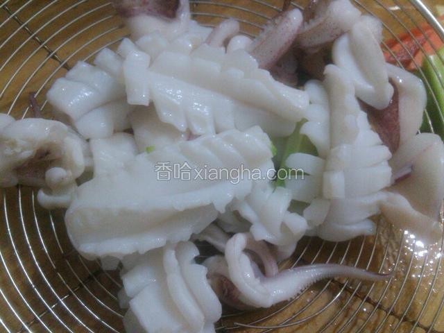鱿鱼飞水