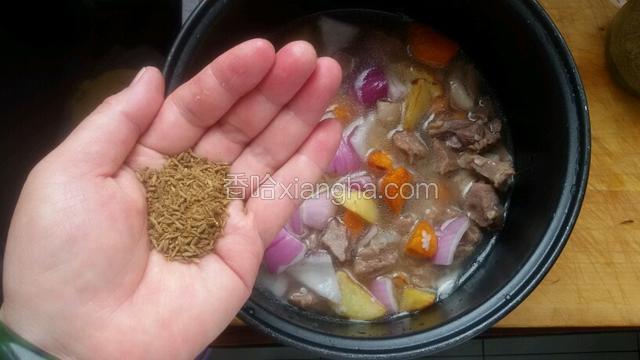 在加入少许盐和孜然粒，按煮饭开始焖制