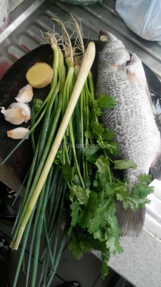 魚去鳞，去內臟，清洗干淨，在鱼身上每面撲上薄薄的麺粉
