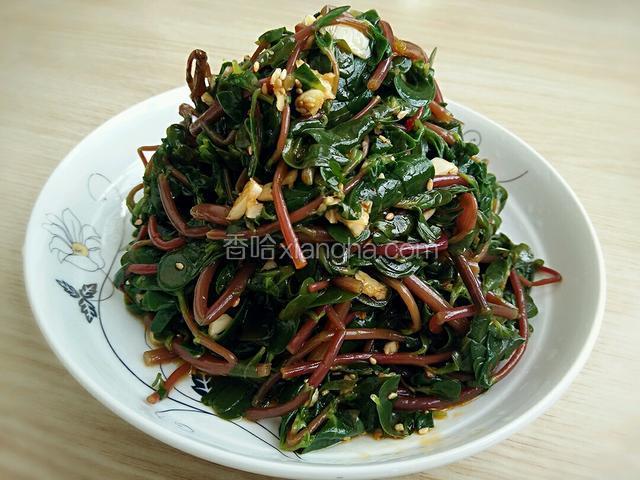 凉拌马齿苋