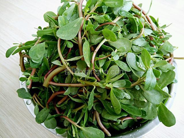 将菜用剪子剪短去掉根部的老根蒂在清水里泡几分钟在清洗两遍捞出控水