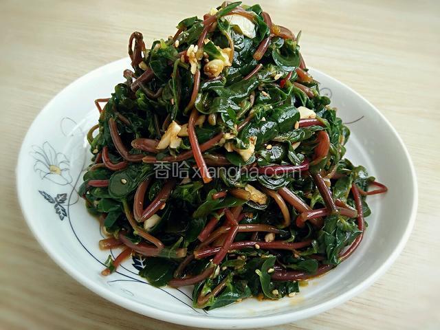 装盘即可开吃了！特别爽口的凉菜！