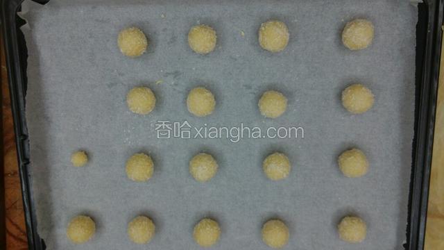 分成10克一颗（大概可以分成17颗左右），然后搓揉成小圆，在椰蓉里滚一圈。