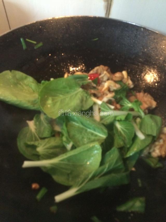 平菇翻炒均匀后，放入小白菜，加适量的盐和蚝油继续煸炒一分钟…