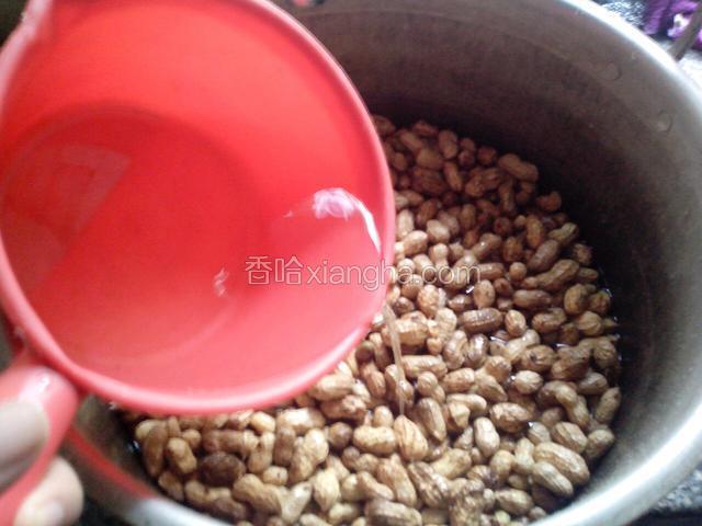 加入水没过花生，煲一个半小时。