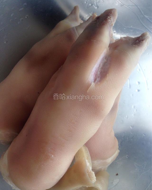 清理蹄毛，夹缝部位直接挖掉。再次冲洗干净。