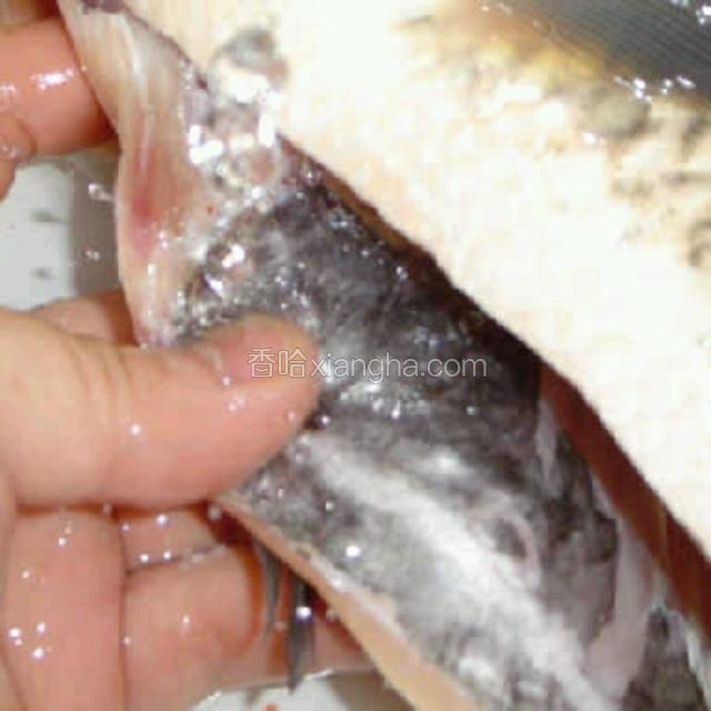 准备鲤鱼一条，洗干净，去鳞，去腮，去内脏，抽筋，洗干净
