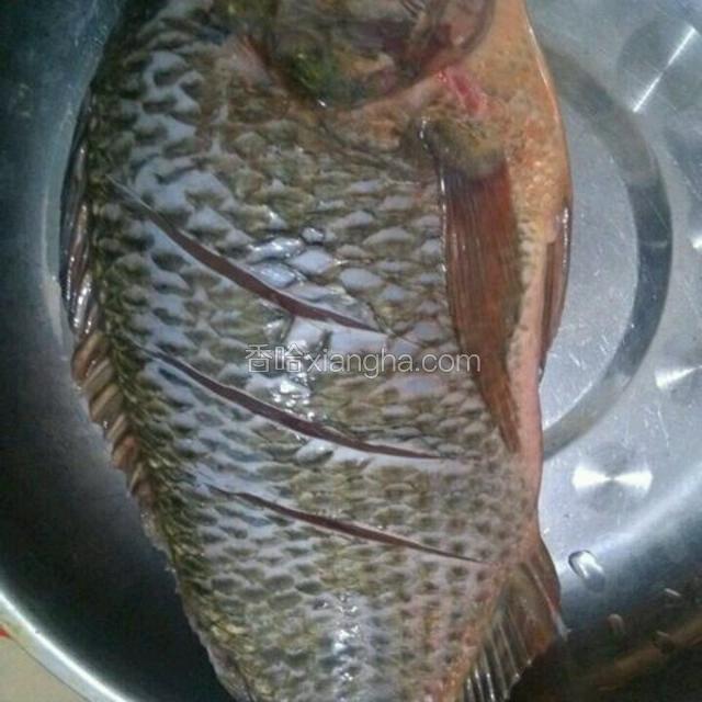 鱼身两边都切开，切至鱼骨处