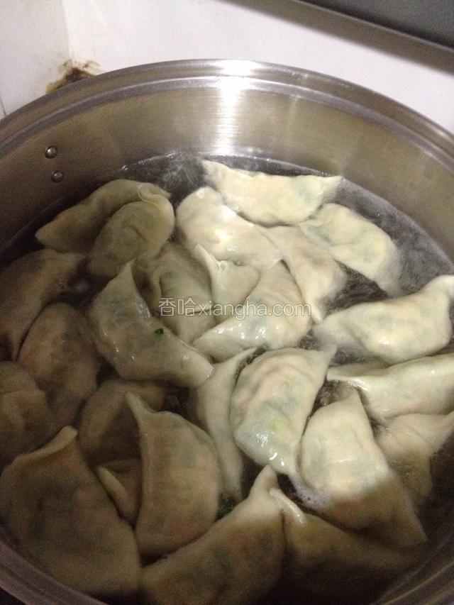 猪肉西葫芦韭菜饺子