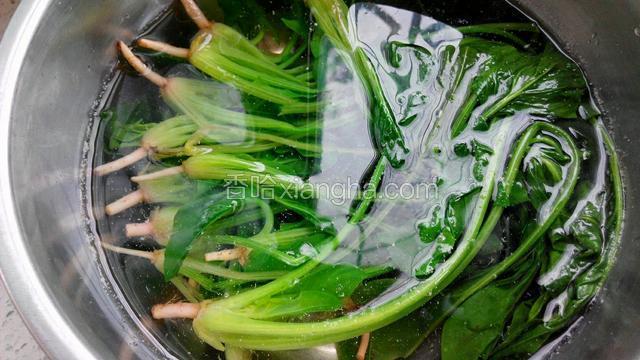 捞出放在凉白开里浸泡一会