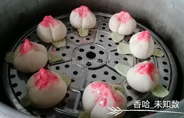 锅中放水，放入包子，大火蒸出气后才盖盖子。转小水蒸15分钟。这个没灯光照的。