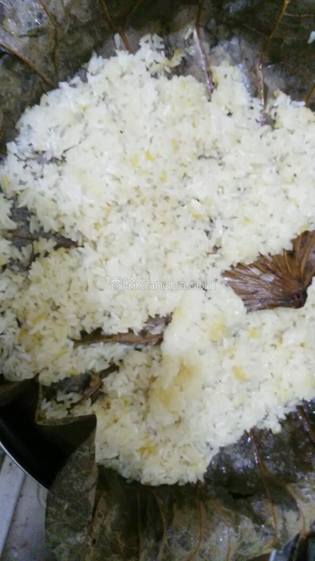 糯米一直大火蒸40分钟（中间记得加水  以免水煮干了）