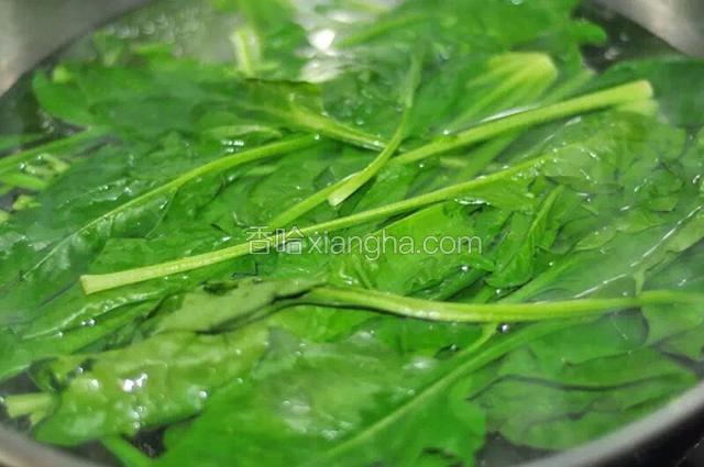 锅里加入清水烧开，将菠菜焯熟。
