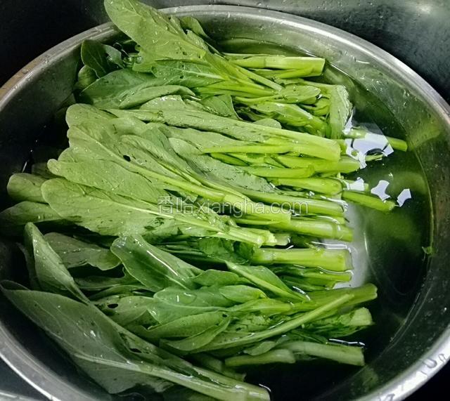 菜心洗干净，放水里泡一下，去农药味