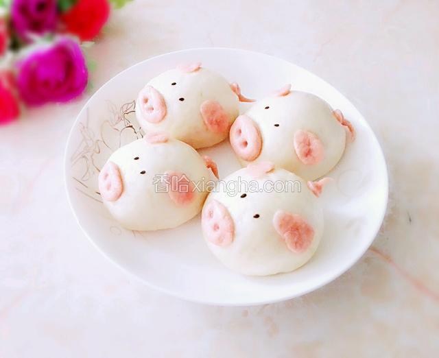 小猪包