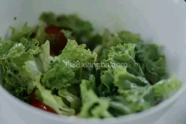 .将沙拉菜，番茄，茄子和鸡蛋放在一起，倒入步骤八的沙拉汁拌匀；将猪排放在盘子上，浇上步骤九的芥末酱，旁边放上沙拉即可