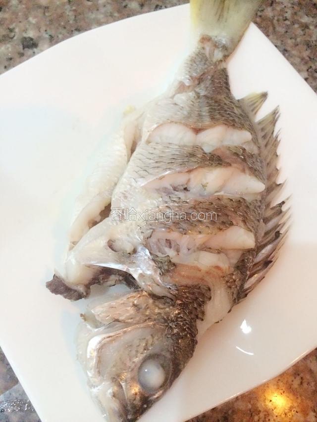 取出鱼，将撕好的葱丝撒在鱼身上，倒入李锦记蒸鱼豉油。