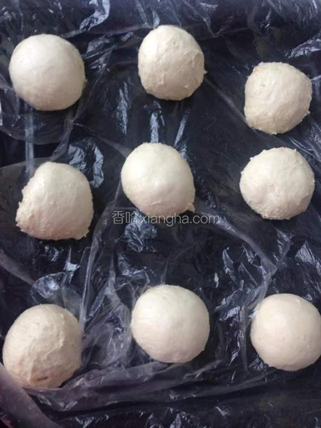 分割50克每份。滚圆。再次发酵45分钟