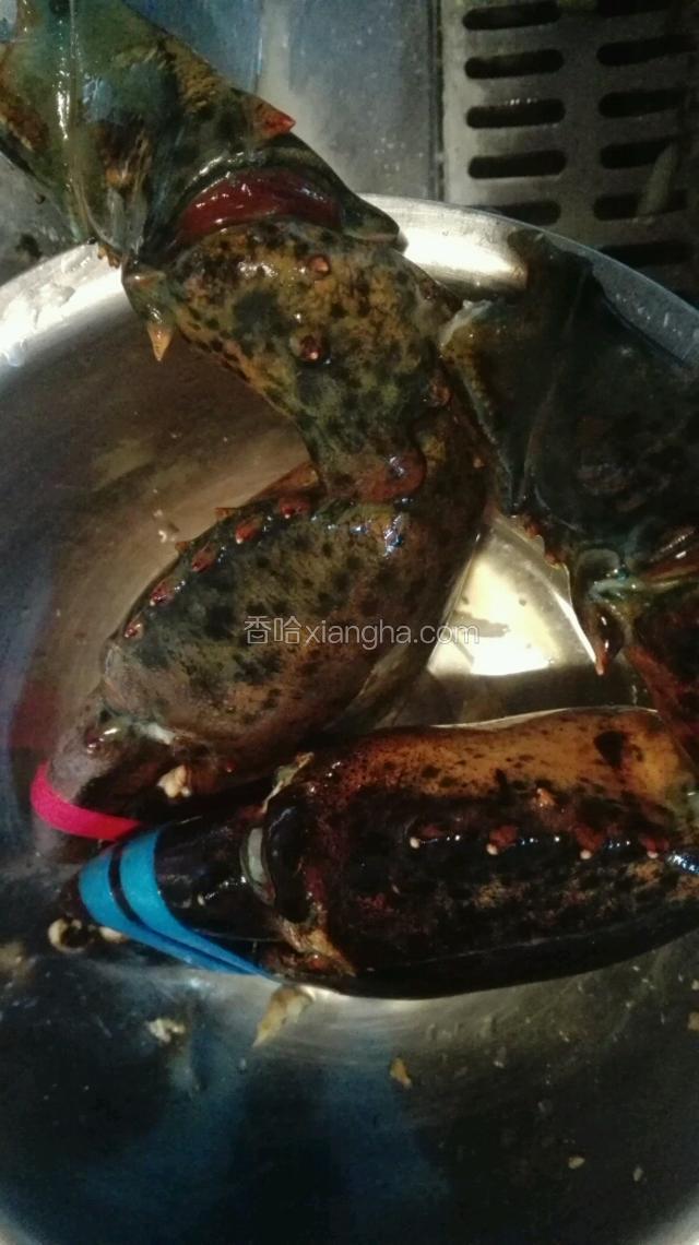 去头尾分解完毕